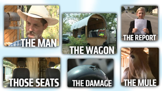 Police Taser Man In Covered Wagon After Ramming Cop Car, Man Blames Mules